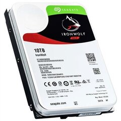 Seagate ST10000VN0008 цена и информация | Внутренние жёсткие диски (HDD, SSD, Hybrid) | kaup24.ee