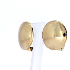 Kuldsed kõrvarõngad YU09_AU585AS_000_YELLOW-2,25- цена и информация | Серьги | kaup24.ee