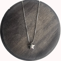 Ожерелье для женщин Infi Accessories Star цена и информация | Украшения на шею | kaup24.ee