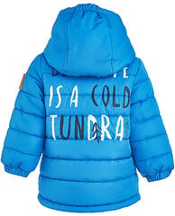 Голубая осенняя куртка для мальчиков Gulliver цена и информация | Зимняя одежда для детей | kaup24.ee