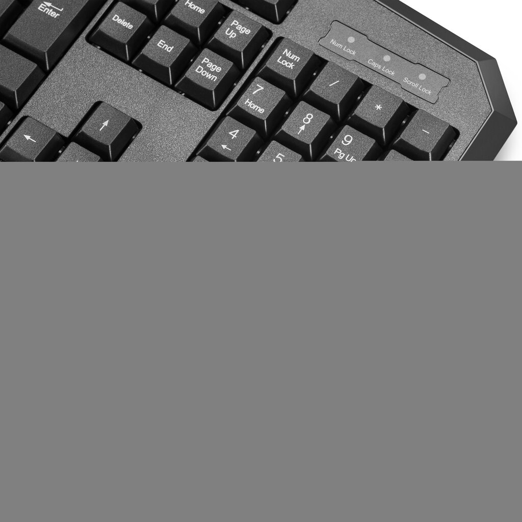 Klaviatuur AULA Adjudication expert gaming keyboard, EN hind ja info | Klaviatuurid | kaup24.ee