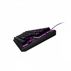 Игровая клавиатура Gaming Energy Sistem 452101 LED RGB цена и информация | Клавиатуры | kaup24.ee