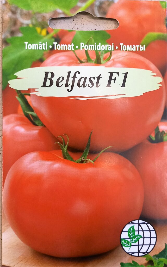 Tomat Belfast F1 цена и информация | Köögivilja-, marjaseemned | kaup24.ee