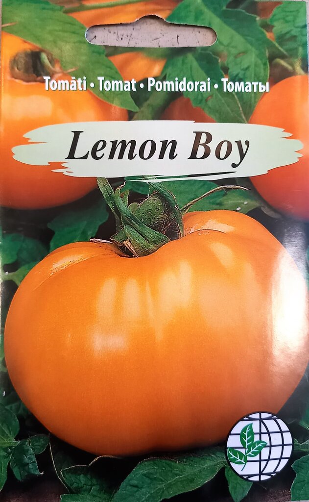 Tomat Lemon Boy, 2 tk hind ja info | Köögivilja-, marjaseemned | kaup24.ee