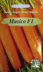 Морковь Musico F1, 2 шт. цена и информация | Семена овощей, ягод | kaup24.ee
