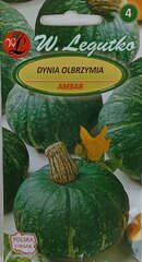 Тыква Ambar, 2 шт. цена и информация | Семена овощей, ягод | kaup24.ee
