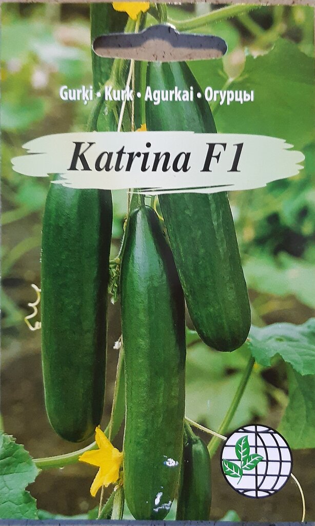 Kurk Katrina F1, 2 tk цена и информация | Köögivilja-, marjaseemned | kaup24.ee
