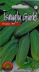 Lihtne lühiviljaline kurk ALEX F1, 1 tk цена и информация | Семена овощей, ягод | kaup24.ee