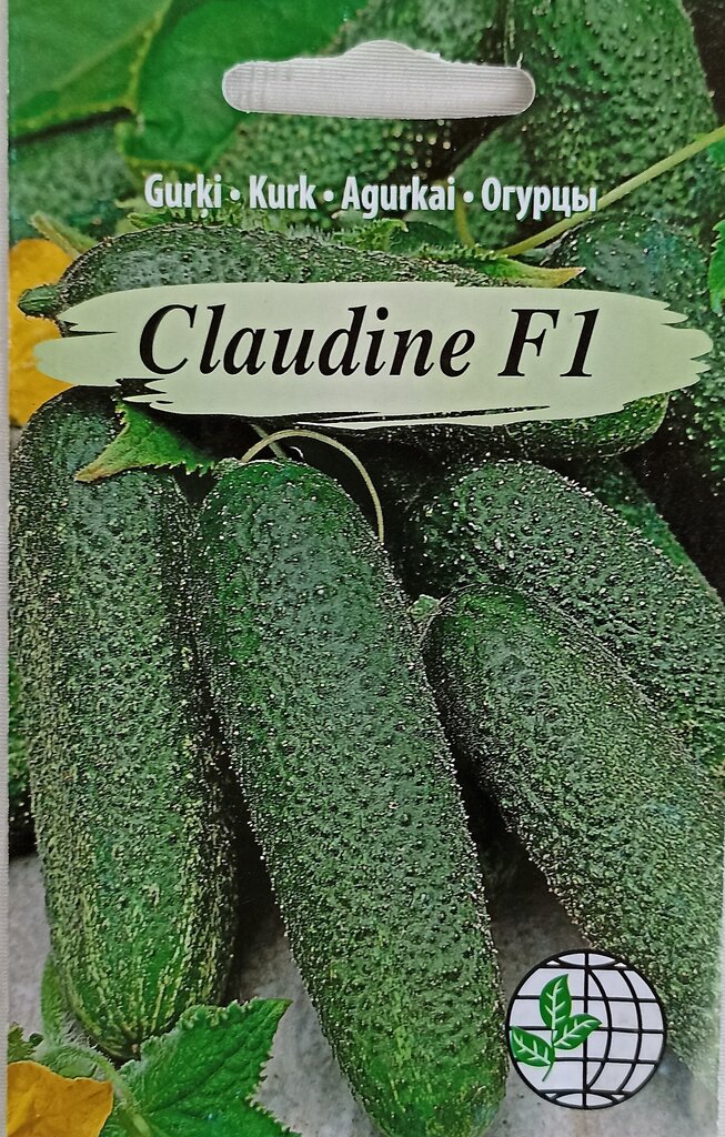 Kurk Claudine F1, 2 tk hind ja info | Köögivilja-, marjaseemned | kaup24.ee