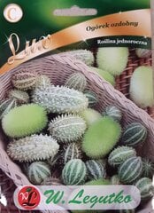 Dekoratiivsed kurgid цена и информация | Семена овощей, ягод | kaup24.ee
