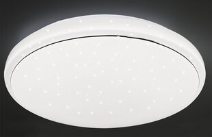 Candellux lighting valgusti Jasper 14-75277 цена и информация | Потолочные светильники | kaup24.ee
