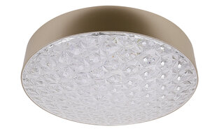 Candellux lighting valgusti Luxon 13-75154 цена и информация | Потолочные светильники | kaup24.ee