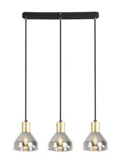Candellux подвесной светильник Gregory цена и информация | Потолочный светильник, 38 x 38 x 24 см | kaup24.ee