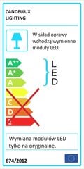 Candellux lighting valgusti Aquila 13-63151 hind ja info | Laelambid | kaup24.ee