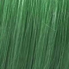 Краска для волос Wella Color Fresh Create Neverseen Green, 60 мл цена и информация | Краска для волос | kaup24.ee