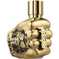 Parfüümvesi Diesel Spirit Of The Brave Intense EDP meestele, 50 ml цена и информация | Мужские духи | kaup24.ee