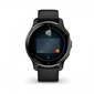 Garmin Venu® 2 Plus Slate/Black цена и информация | Nutikellad (smartwatch) | kaup24.ee
