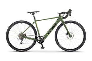 Elektrijalgratas Ecobike Forest Arrow 28", roheline цена и информация | Электровелосипеды | kaup24.ee