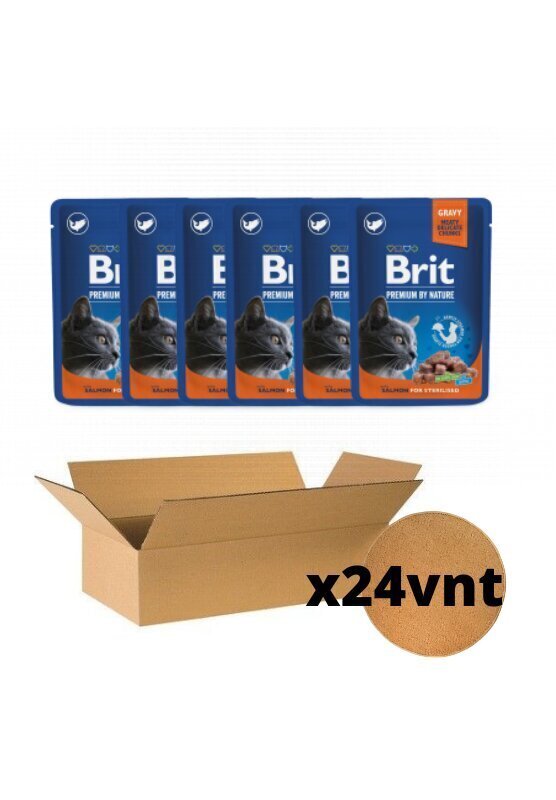 Konserv steriliseeritud kassidele Brit Premium by Nature Salmon for Sterilised, 24 x 100 g hind ja info | Konservid kassidele | kaup24.ee