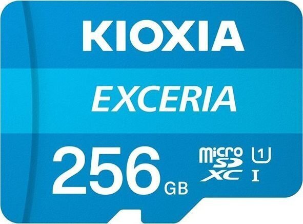 Kioxia LMEX1L256GG2 цена и информация | Fotoaparaatide mälukaardid | kaup24.ee