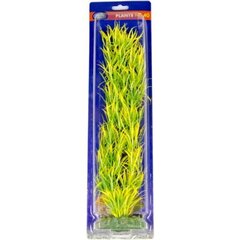 Plastikust taim Aqua Nova 40cm hind ja info | Akvaariumi kaunistused | kaup24.ee