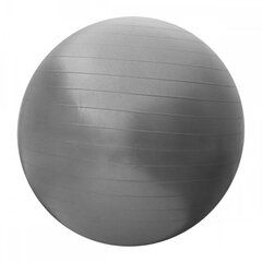 Мяч гимнастический SportVida, 55 см, серый цена и информация | Гимнастические мячи | kaup24.ee