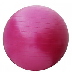 Võimlemispall SportVida, 65 cm, roosa hind ja info | Võimlemispallid | kaup24.ee