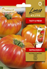 TOMATID BUFFALOSUN H цена и информация | Семена овощей, ягод | kaup24.ee