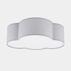 TK Lighting детский потолочный светильник Cloud Mini 3144 цена и информация | Потолочные светильники | kaup24.ee