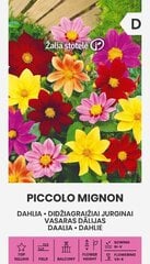 SUUR DAALIA PICCOLO MIGNON 1 G hind ja info | Lilleseemned | kaup24.ee