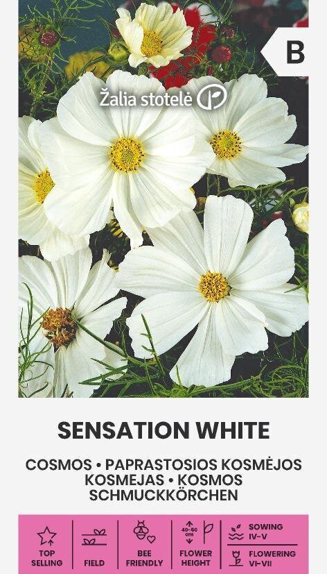 SENSATION WHITE цена и информация | Lilleseemned | kaup24.ee