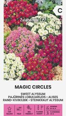 БУРАЧОК MAGIC CIRCLES 1 Г цена и информация | Семена цветов | kaup24.ee
