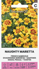 MADAL PEIULILL NAUGHTY MARIETTA 1 G hind ja info | Lilleseemned | kaup24.ee