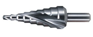 Astmeline puur, spiraal 4-12 mm, pikkus 65/45 mm, 1/4" D-40141 Makita hind ja info | Käsitööriistad | kaup24.ee