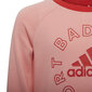 Adidas Spordikostüümid Lk Logo Jog Set Red Pink H65799 H65799/128 hind ja info | Tüdrukute retuusid, püksid | kaup24.ee