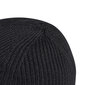 Müts meestele Adidas 4Cmte Beanie GT4826 hind ja info | Meeste sallid, mütsid ja kindad | kaup24.ee