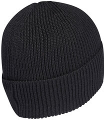 Кепки Adidas 4Cmte Beanie, Black GT4826 GT4826/OSFM цена и информация | Adidas Мужские аксессуары | kaup24.ee