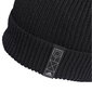 Müts meestele Adidas 4Cmte Beanie GT4826 hind ja info | Meeste sallid, mütsid ja kindad | kaup24.ee