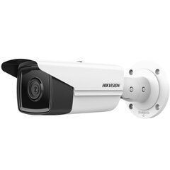 IP-камера Hikvision 311313637 цена и информация | Камеры видеонаблюдения | kaup24.ee