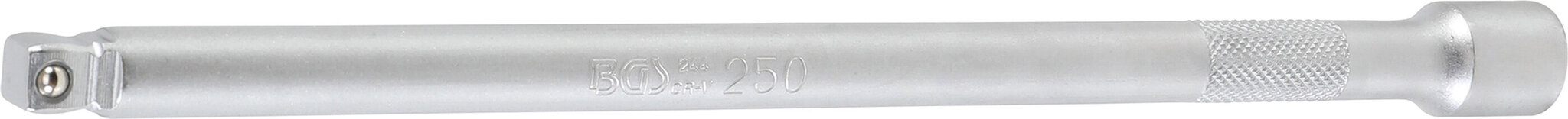 Pikendusriba "Wobble" | 10 mm (3/8 ") | 250 mm BGS Technic-244 цена и информация | Käsitööriistad | kaup24.ee