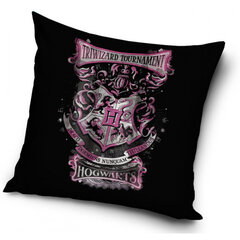 Padjakate, Harry Potter, 40 x 40 cm. hind ja info | Voodipesukomplektid | kaup24.ee