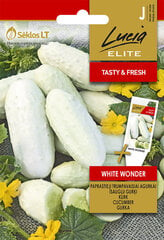 KURK HARILIK WHITE WONDER цена и информация | Семена овощей, ягод | kaup24.ee