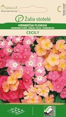 Üheaastane floks Cecily hind ja info | Lilleseemned | kaup24.ee
