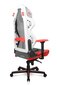 Mänguritool, DXRacer Air R1S-WRNG, must/valge/hall/punane цена и информация | Kontoritoolid | kaup24.ee