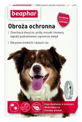 Beaphar parasiidivastane kaelarihm koertele 11 - 44 kg. hind ja info | Toidulisandid ja parasiitide vastased tooted | kaup24.ee