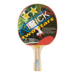 Ракетка для пинг-понга Atipick RQP40400, для начинающих цена и информация | Atipick Спорт, досуг, туризм | kaup24.ee