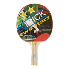 Ракетка для пинг-понга Atipick RQP40400, для начинающих цена и информация | Ракетки для настольного тенниса, чехлы и наборы | kaup24.ee