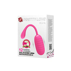 Kuul-vibraator Pretty Love цена и информация | Вибраторы | kaup24.ee