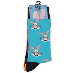 Lihavõttesokid meestele Apollo Easter Socks, 2 paari hind ja info | Meeste sokid | kaup24.ee