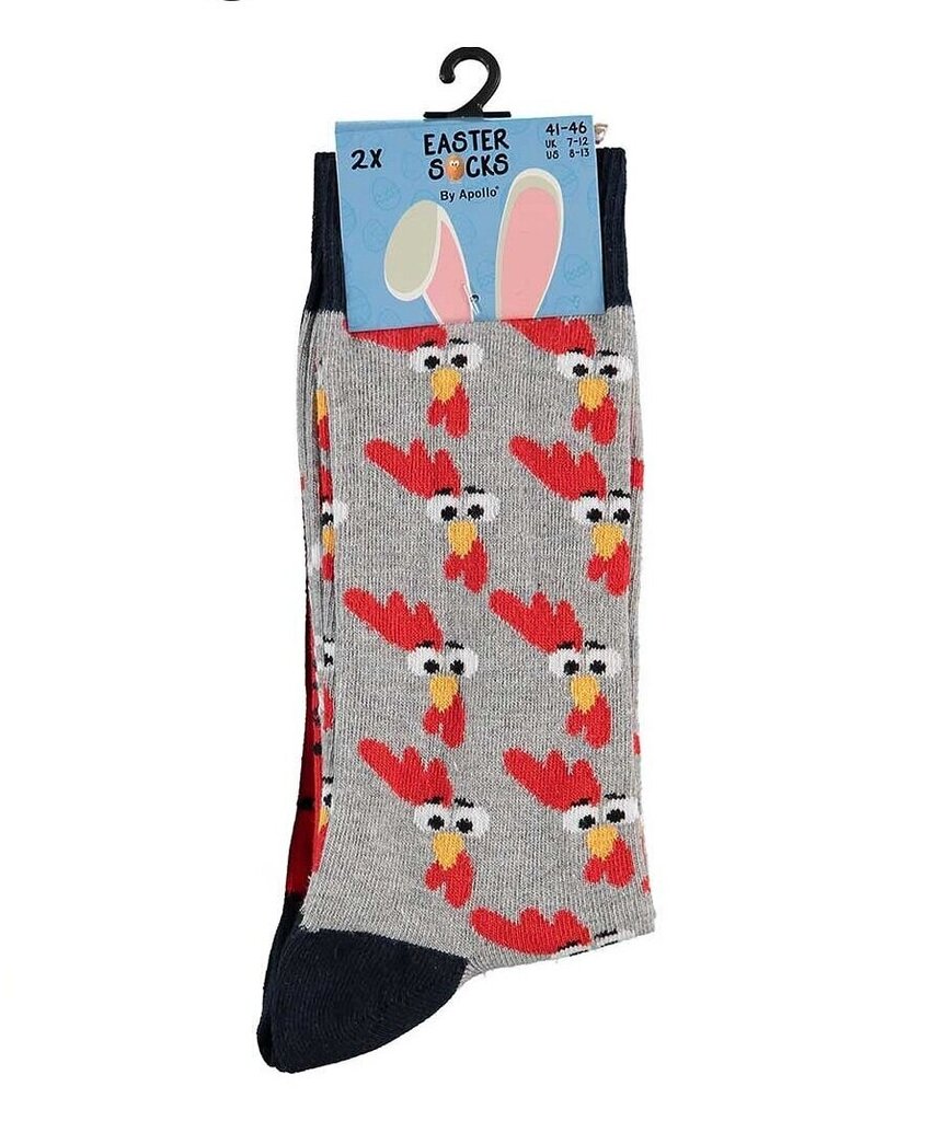 Lihavõttesokid meestele Apollo Easter Socks, 2 paari цена и информация | Meeste sokid | kaup24.ee